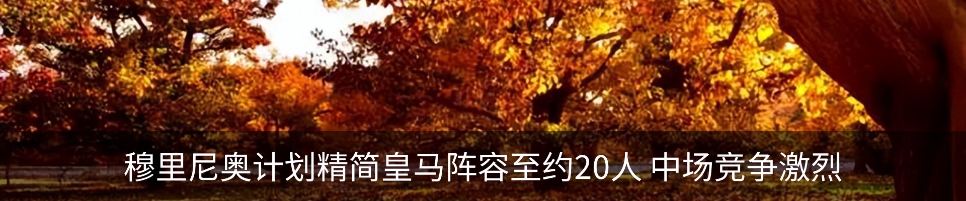 内页banner