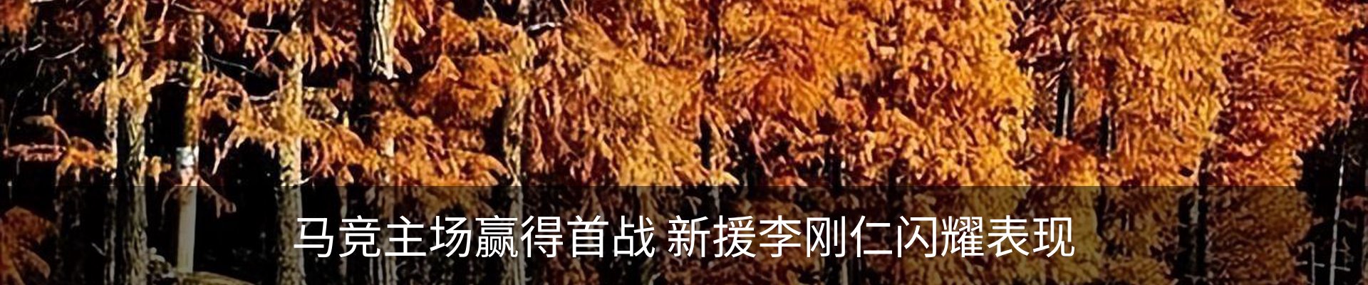 内页banner